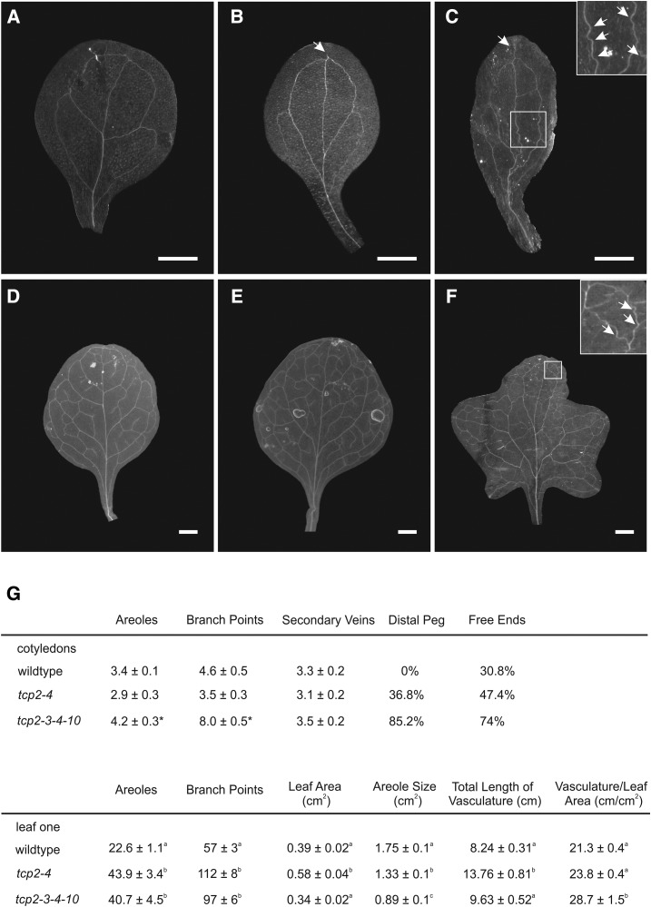 Figure 6.