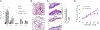 FIG 2.