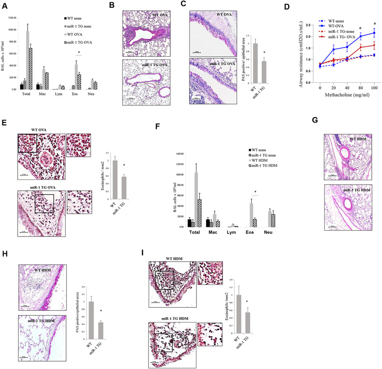 FIG 3.