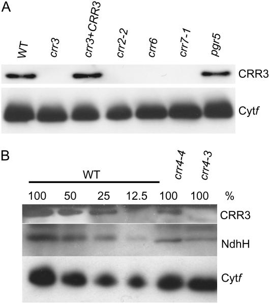 Figure 6.