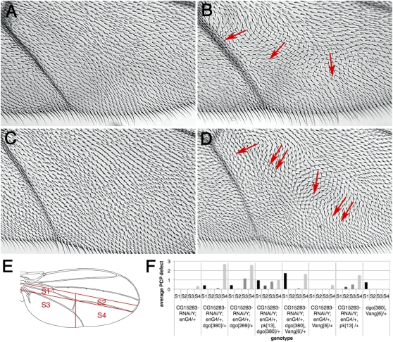 Figure 7 