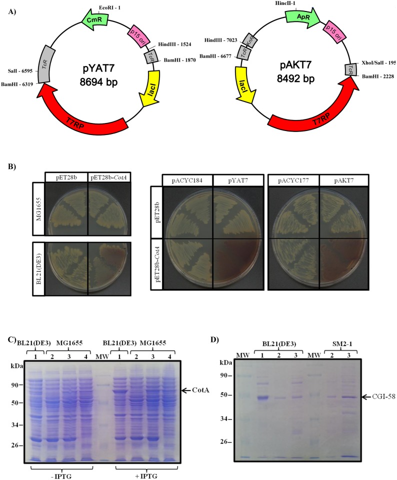 Fig 1