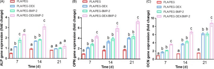 Figure 5