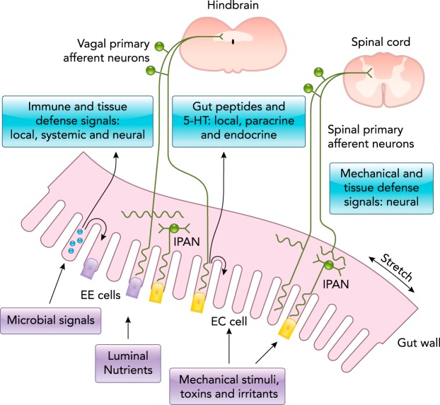 FIGURE 1.