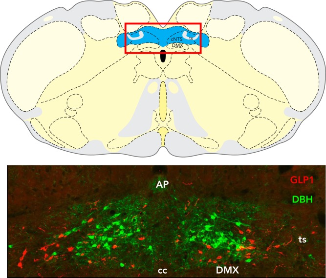 FIGURE 3.