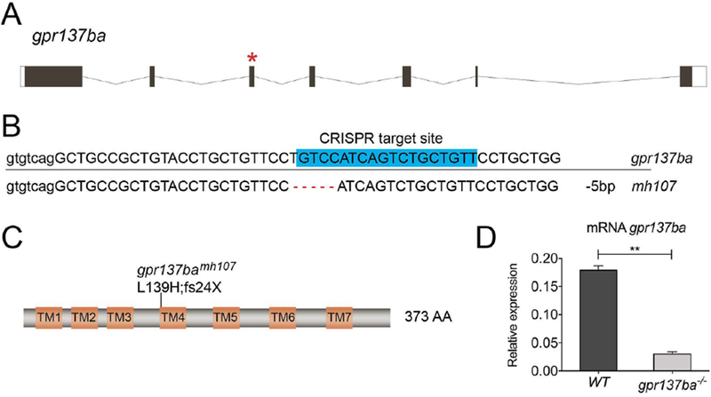 Figure 3 -