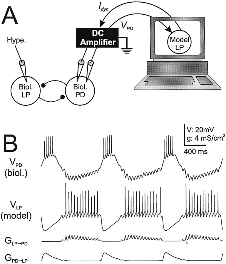 Fig. 2.