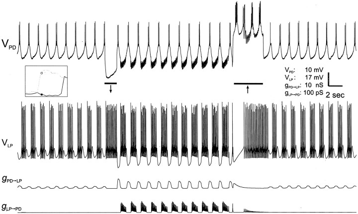 Fig. 8.