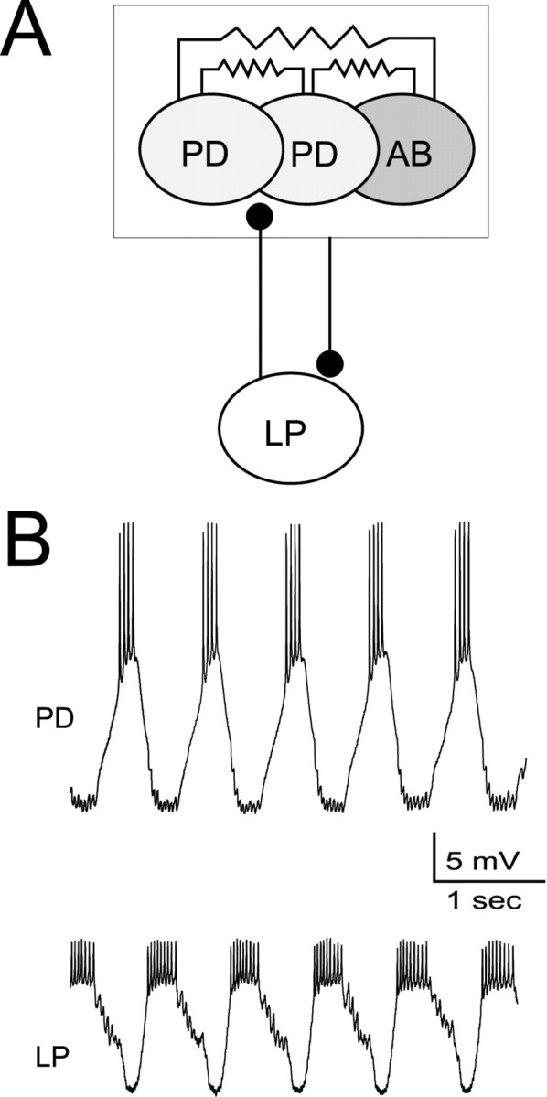 Fig. 1.