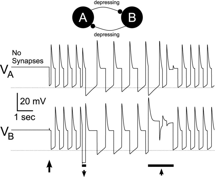 Fig. 9.