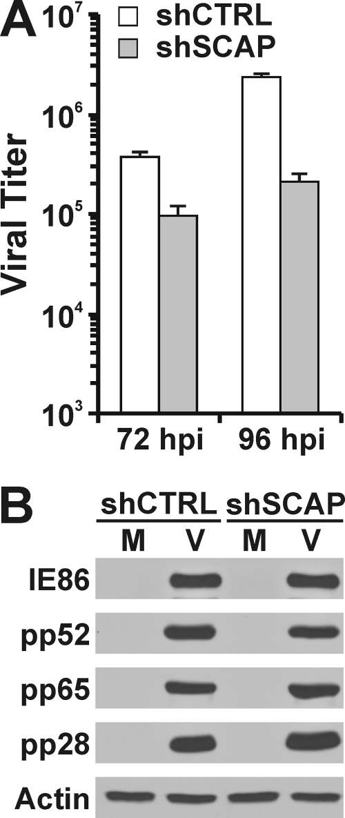 Fig 8