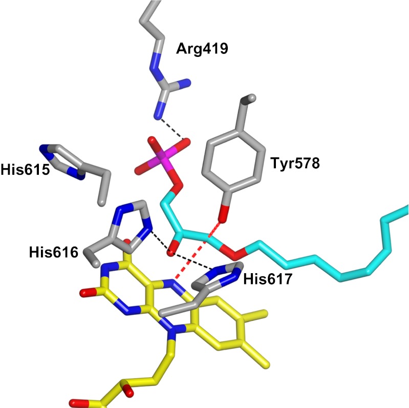 Fig. 5.