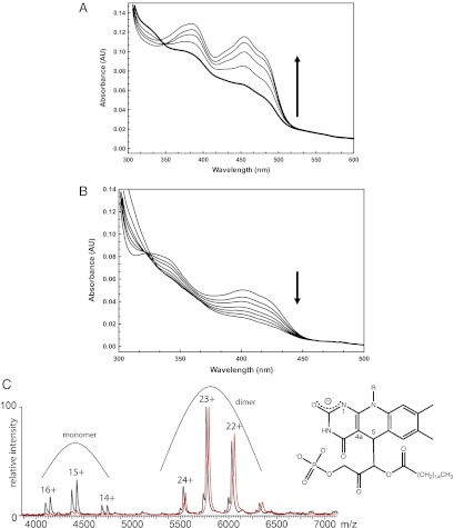 Fig. 4.