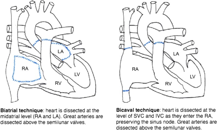 Figure 2.