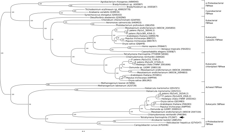 Fig. S7.