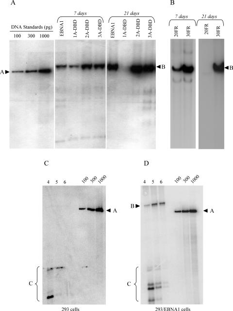 FIG. 5.