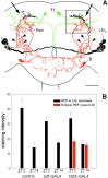 Fig. 10.