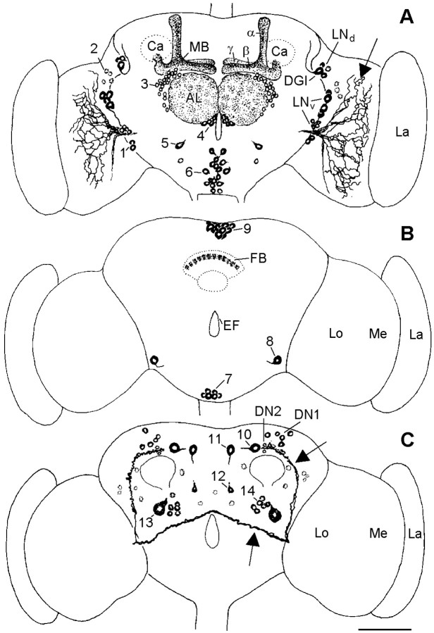 Fig. 1.