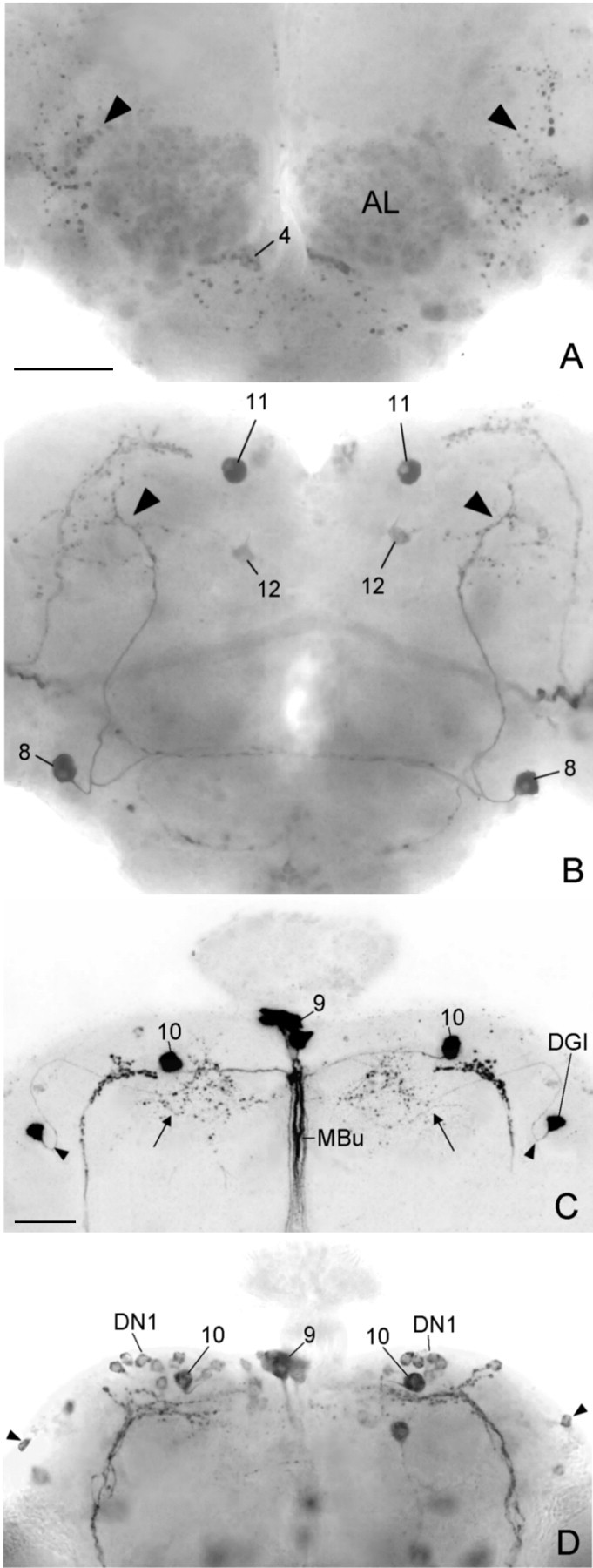 Fig. 6.