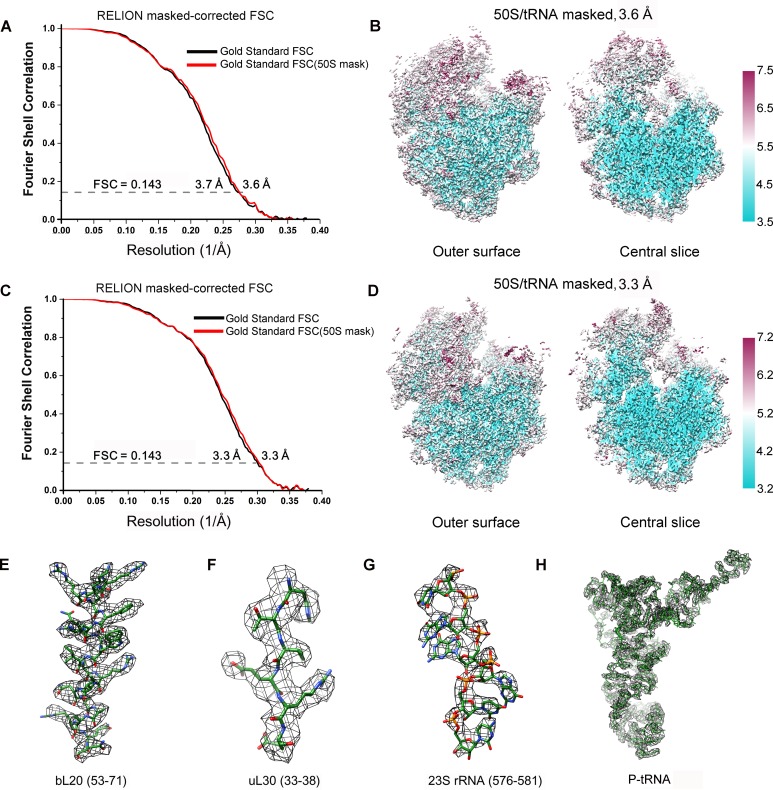 Figure 1—figure supplement 4.