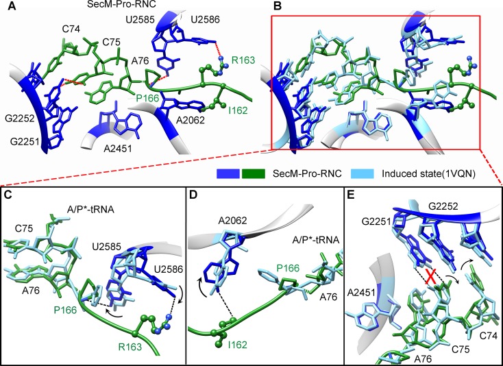 Figure 5.