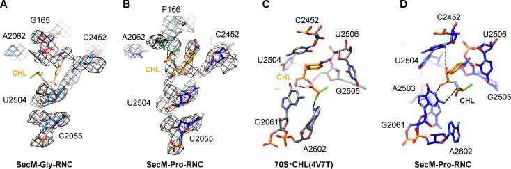 Figure 1—figure supplement 7.