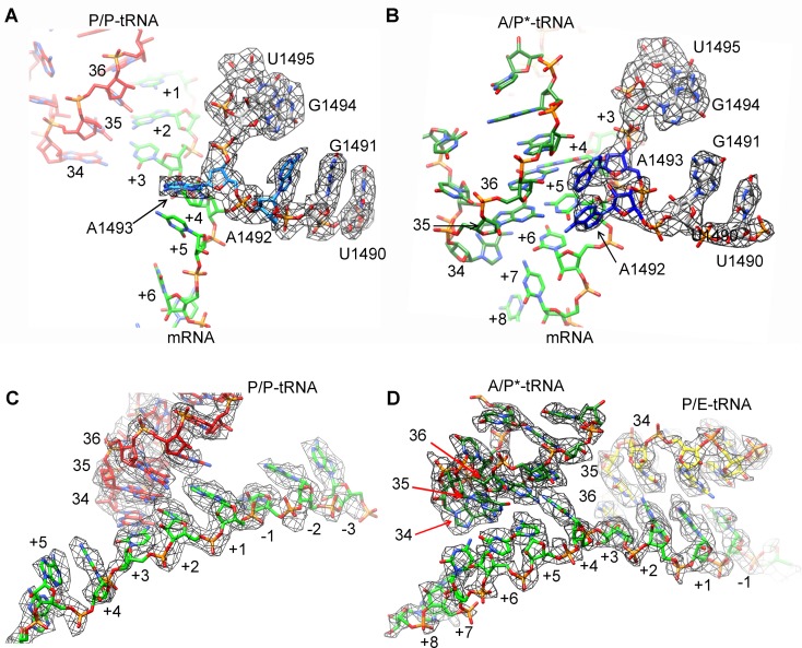 Figure 6—figure supplement 3.