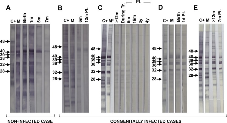 FIG 3