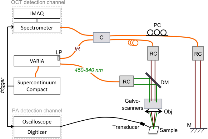 Fig. 1