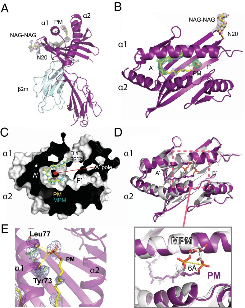 Fig. 3.