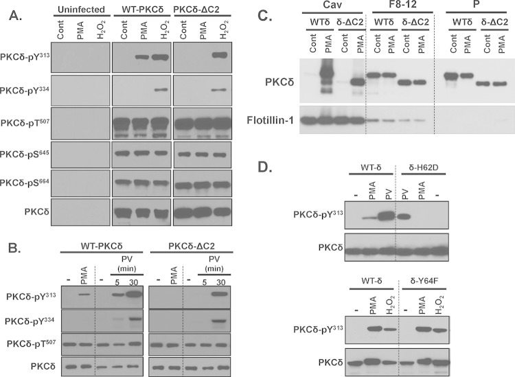 FIG 2