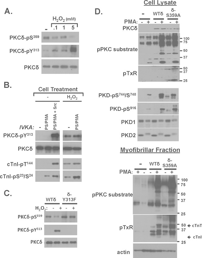 FIG 8