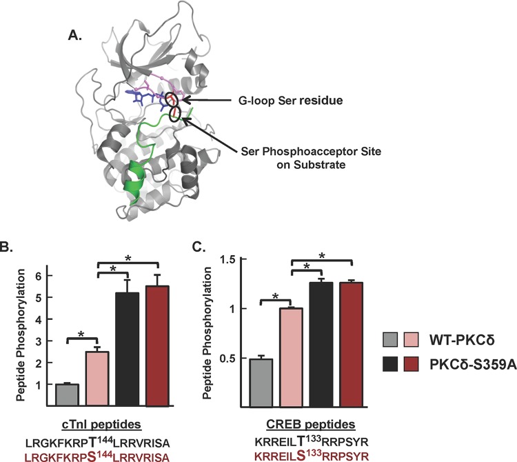 FIG 6