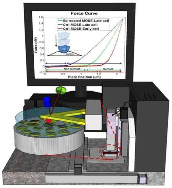 Fig. 2