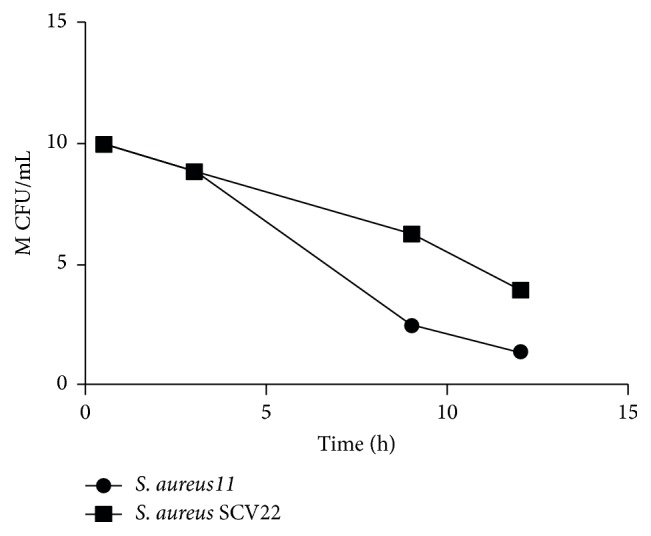 Figure 6