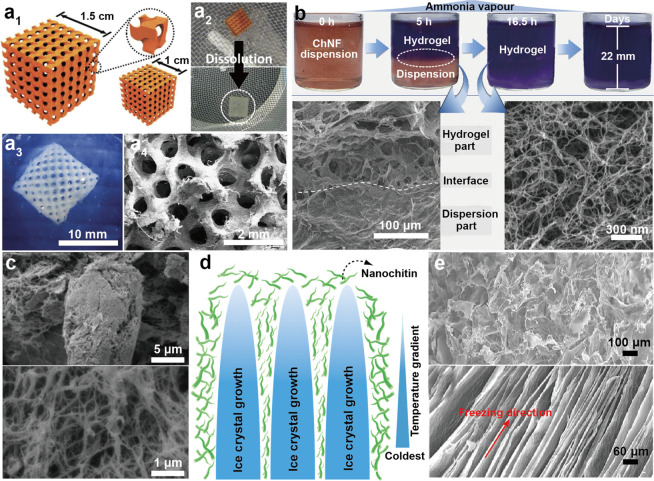 Figure 35