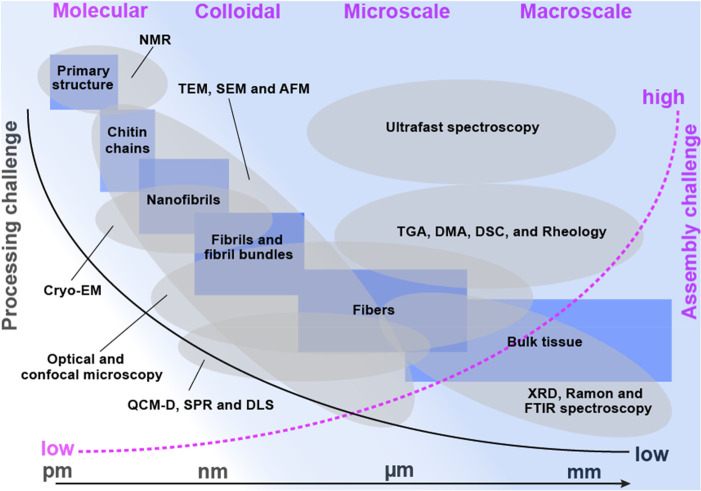 Figure 19