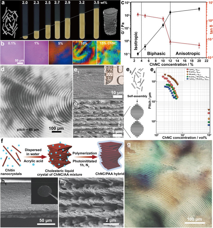 Figure 25