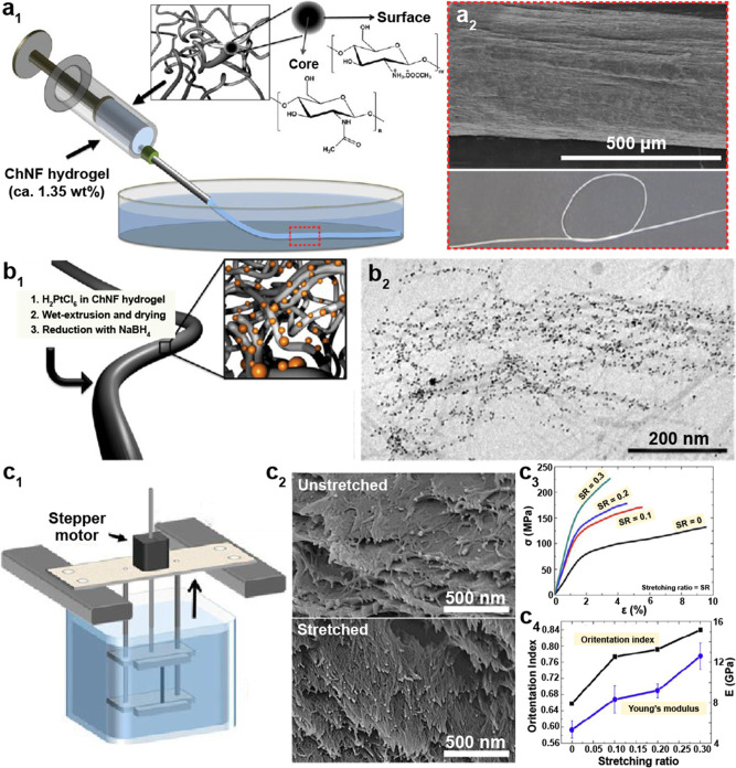 Figure 31