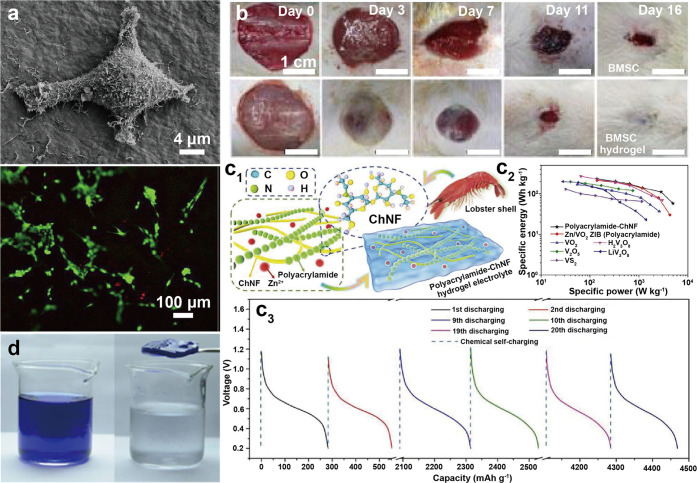 Figure 36