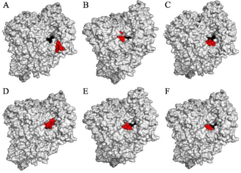 Figure 2.