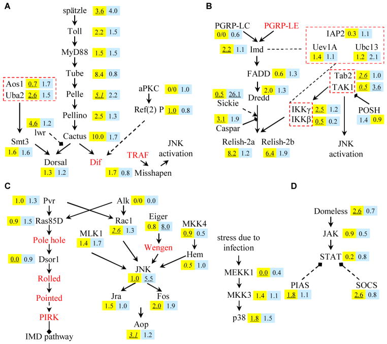 Fig. 3