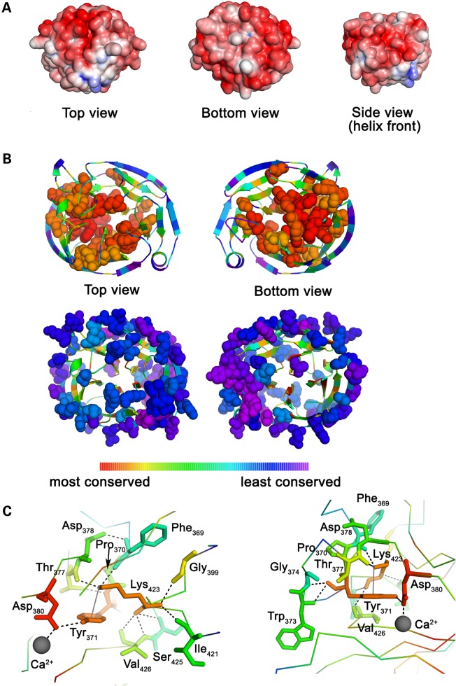 Figure 4.