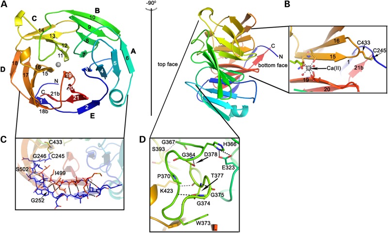 Figure 1.