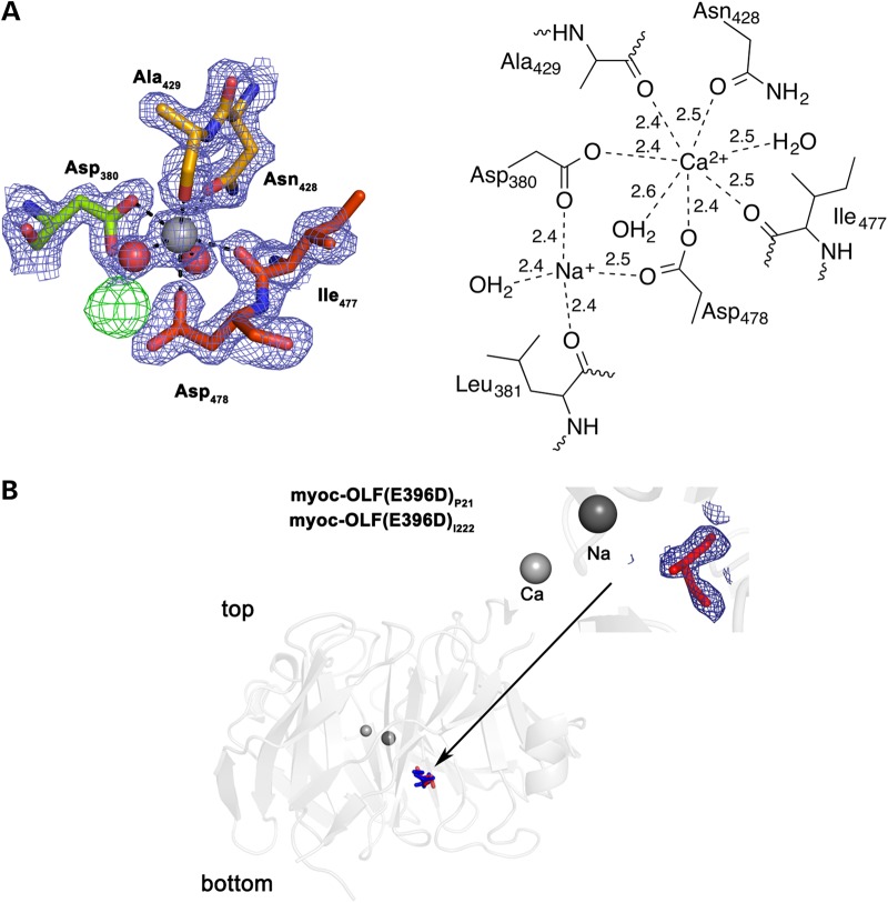 Figure 3.