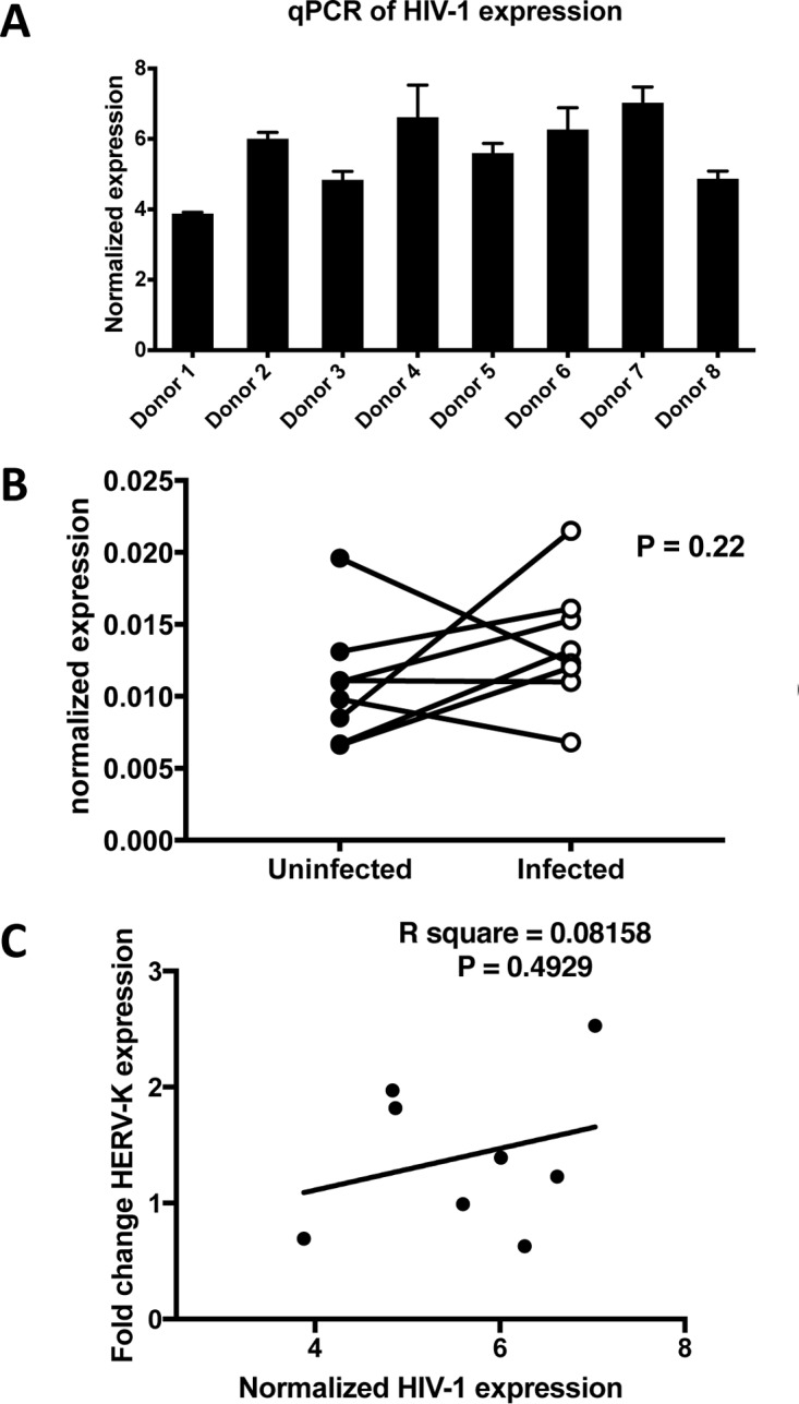 FIG 3