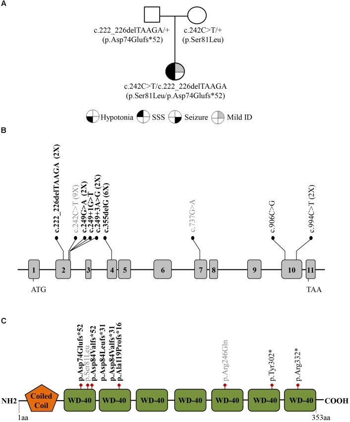 FIGURE 1