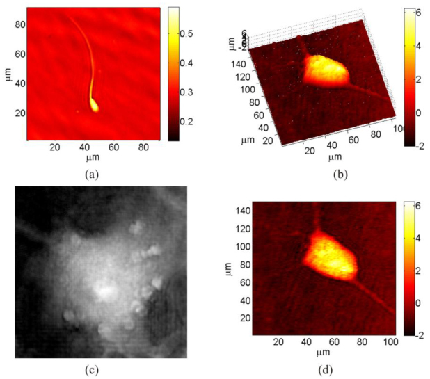 Fig. 2