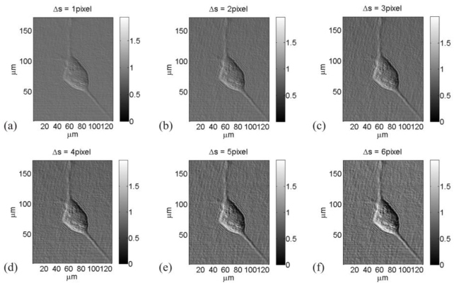 Fig. 5