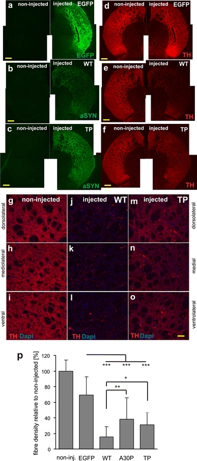 Fig. 6